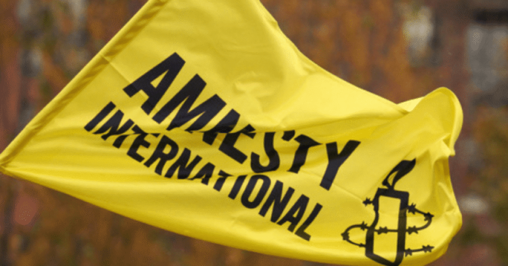 Amnesty International Remote Fellowships 2026 – Fully Funded Human Rights Opportunities