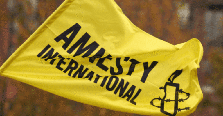 Amnesty International Remote Fellowships 2026 – Fully Funded Human Rights Opportunities
