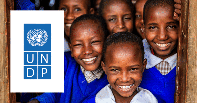 UNDP Digital Transformation Interns 2025 | 3-Month Home-Based Contract
