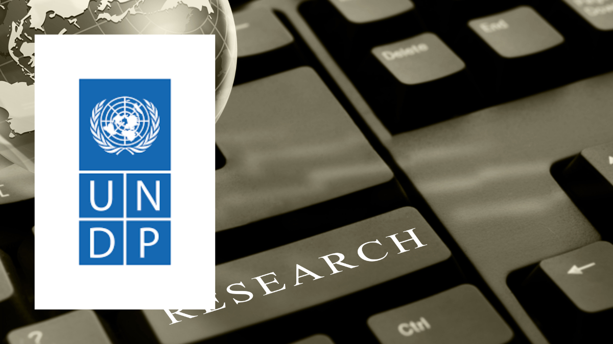 Fully Remote UNDP Research Internship 2025 | Apply Now to Work with the UN