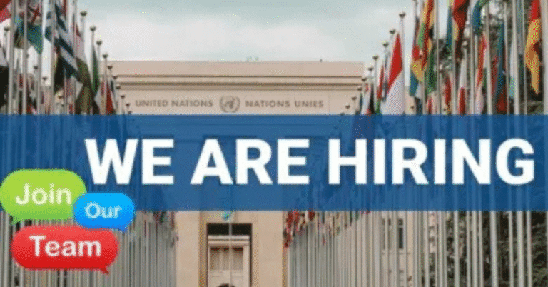 United Nations Home-Based Consultant Position 2025 | UNDRR Programme Management Role | Deadline: November 15, 2025