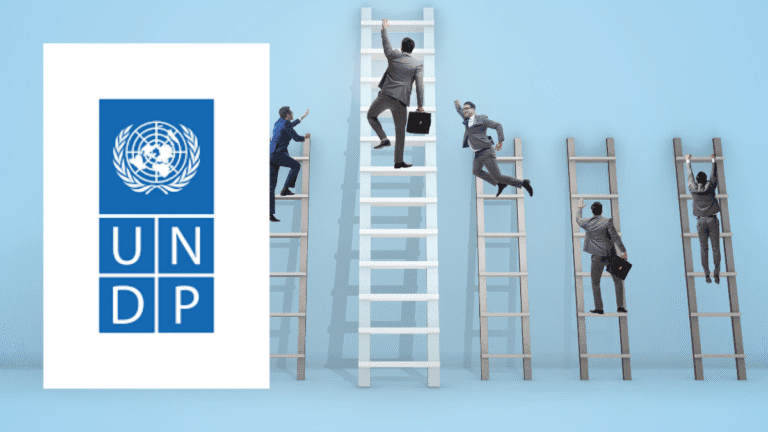UNDP Disaster Risk Reduction Web Platform Content Development Expert | Apply Before 7 November 2025