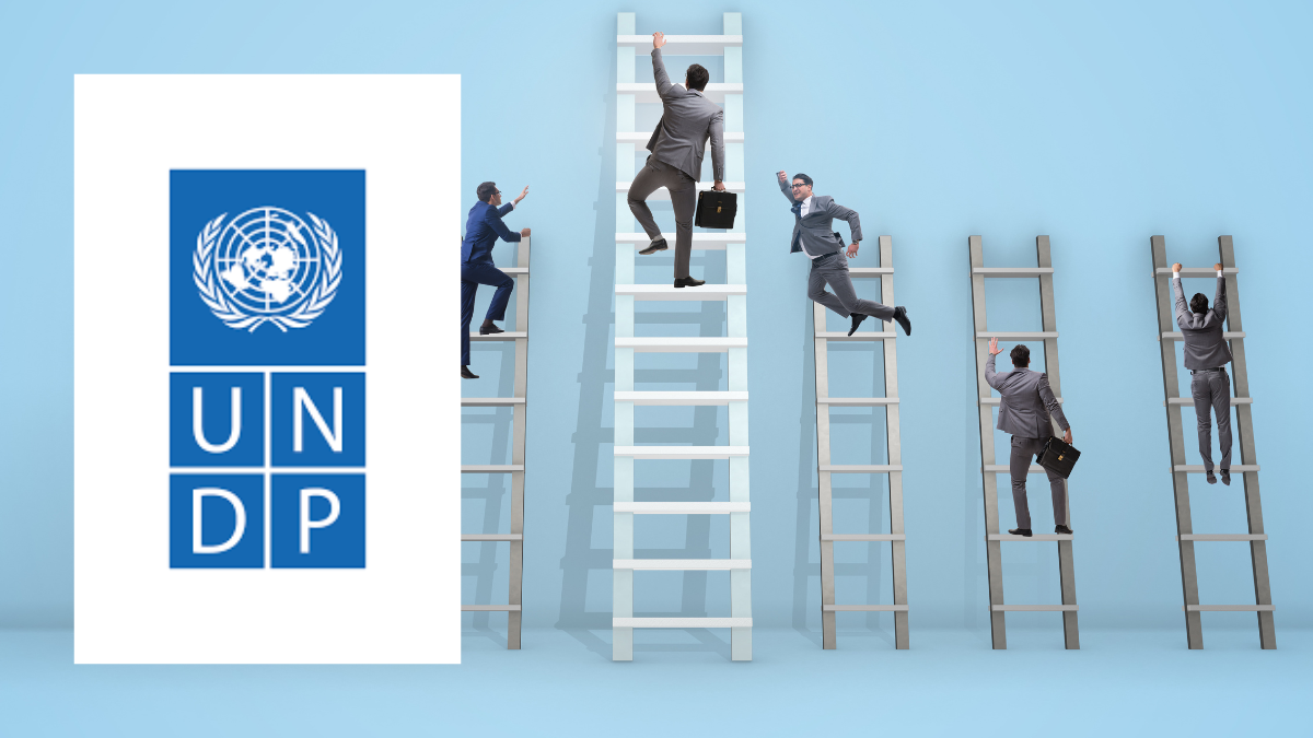 UNDP Disaster Risk Reduction Web Platform Content Development Expert | Apply Before 7 November 2025