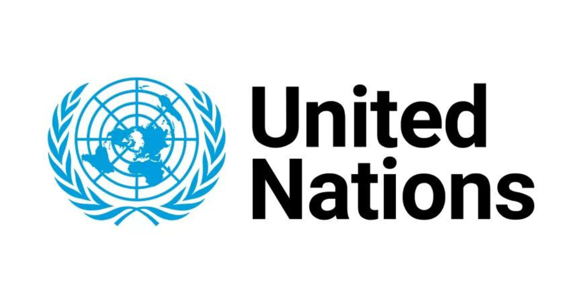 Free United Nations and Global Leadership Programs for Young People and Early Career Professionals Who Want to Join the United Nations (Deadlines in December)