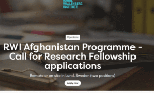 RWI Research Fellows 2026 | Mentorship and Support in Human Rights