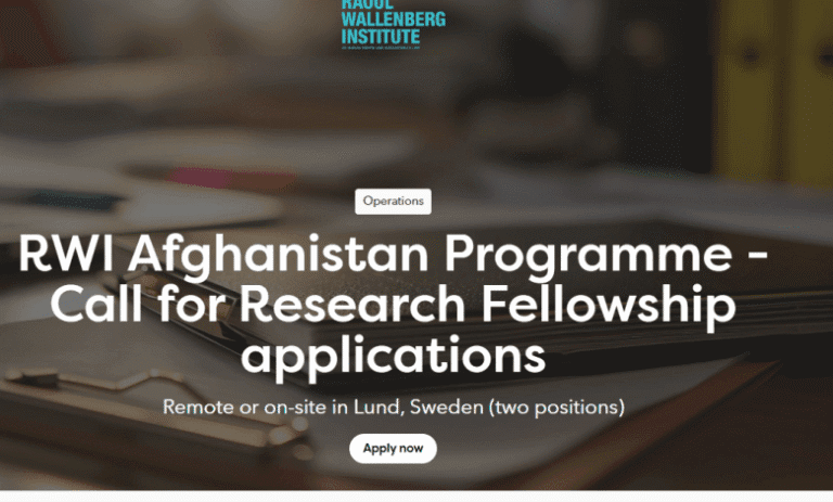 RWI Research Fellows 2026 | Mentorship and Support in Human Rights