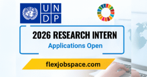 UNDP Remote Research Internship 2026 — Applications Open Now