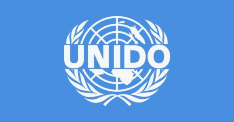 UNIDO Is Hiring Internship Programme With Monthly Stipend — Apply Now for 2025
