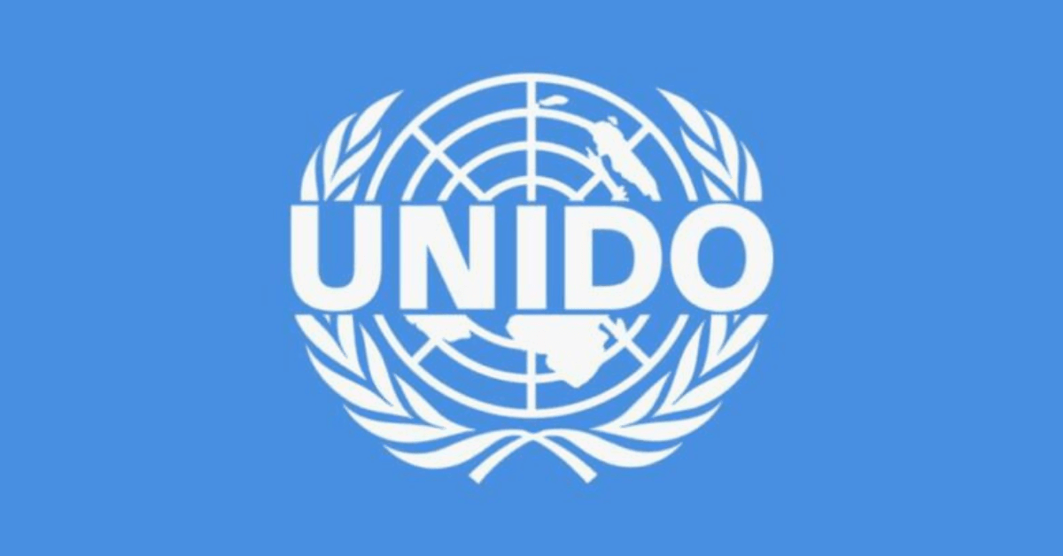 UNIDO Is Hiring Internship Programme With Monthly Stipend — Apply Now for 2025