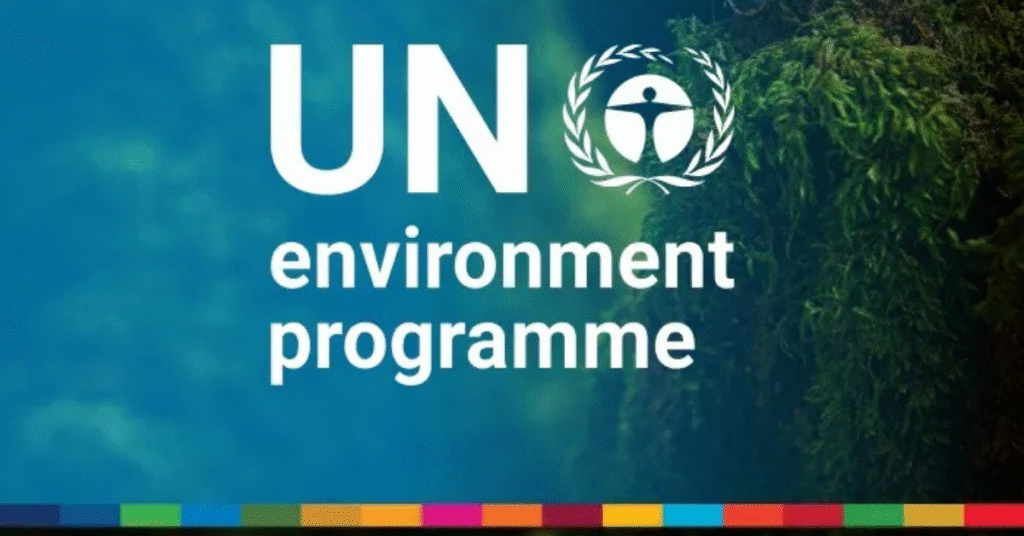 UNEP Internship 2025 in Programme Management | Apply Now (6-Month Environmental Affairs Internship)