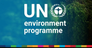 UNEP Internship 2025 in Programme Management | Apply Now (6-Month Environmental Affairs Internship)