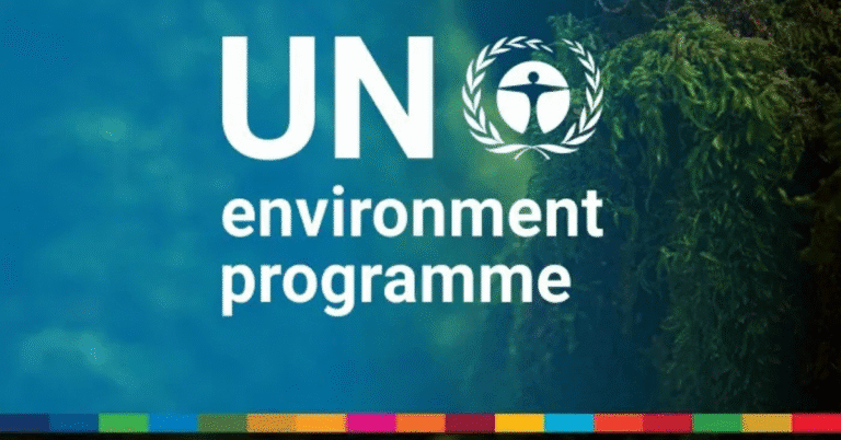 United Nations Environment Programme Paid Internships 2026 – Apply Now for Online and Global Roles