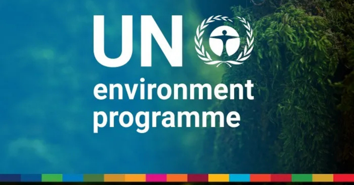 United Nations Environment Programme (UNEP) is Seeking a Programme Management Officer – Apply Before 22 November 2025
