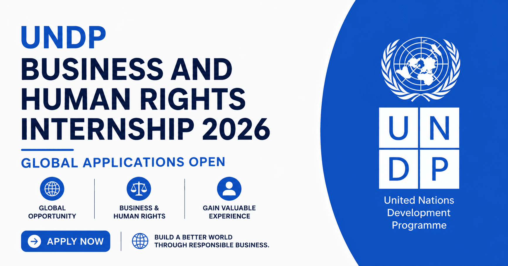 UNDP Business and Human Rights Internship 2026 — Global Applications Open