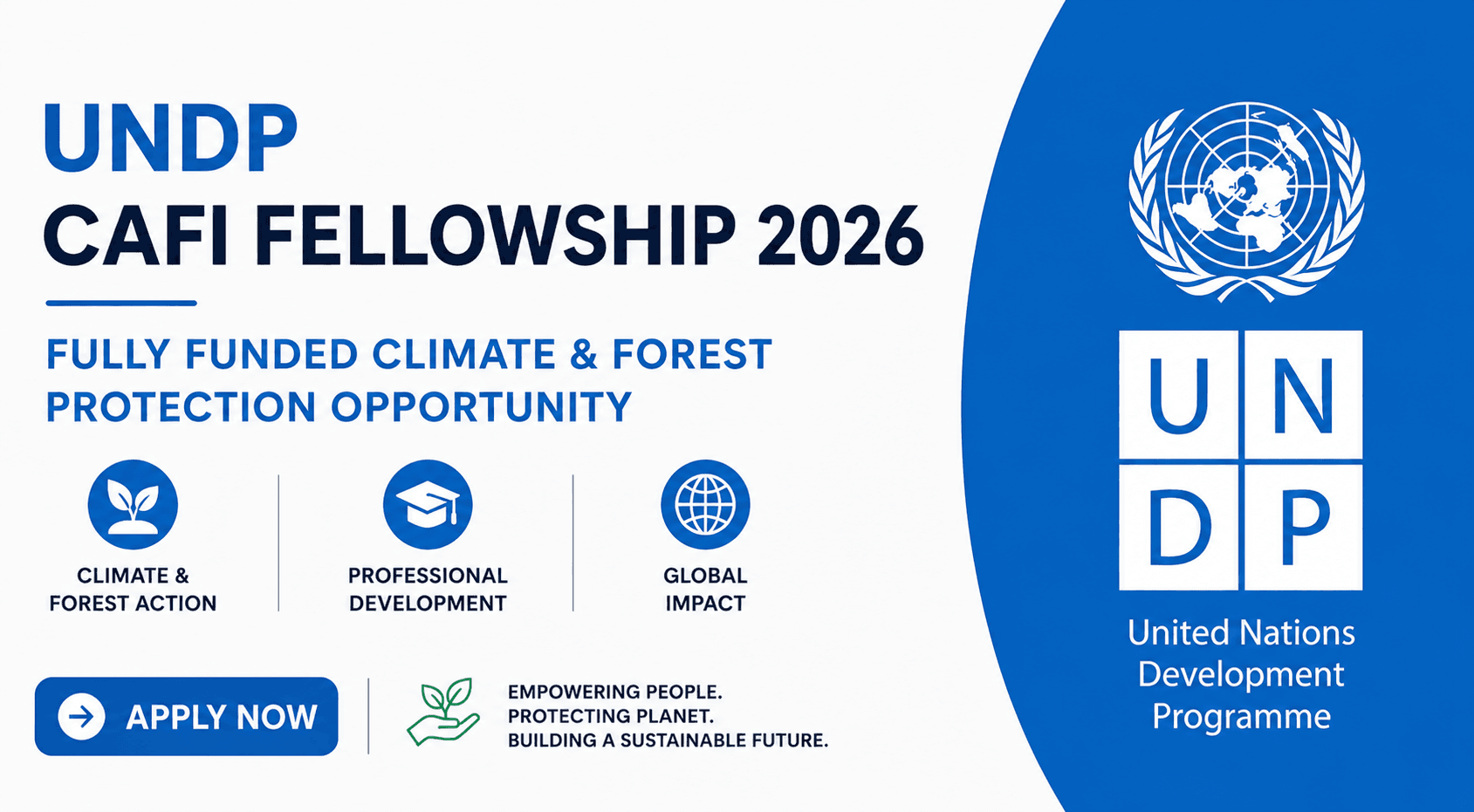 UNDP CAFI Fellowship 2026 — Fully Funded Climate & Forest Protection Opportunity
