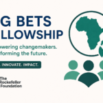 Big Bets Fellowship