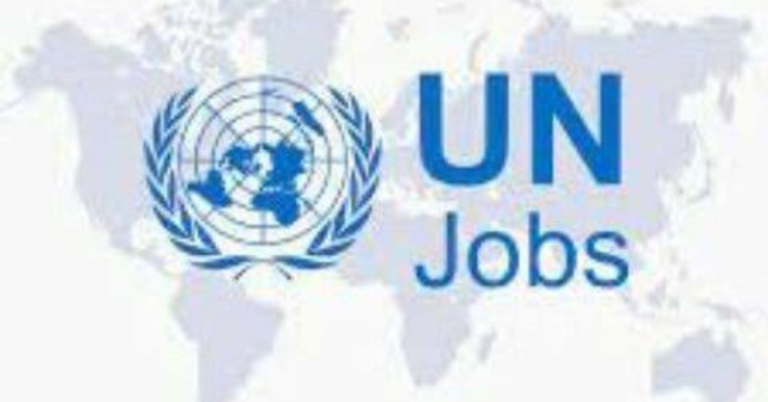 World Economic Forum Careers