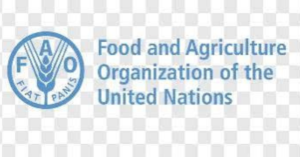 FAO Remote Consultant Jobs