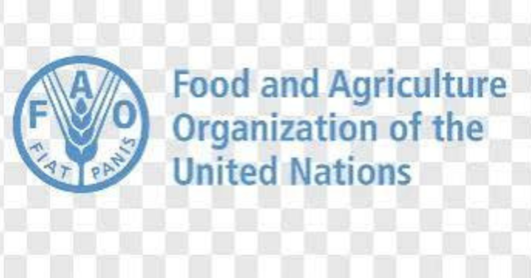 FAO Remote Consultant Jobs