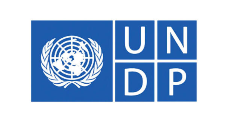 UNDP Research Internship