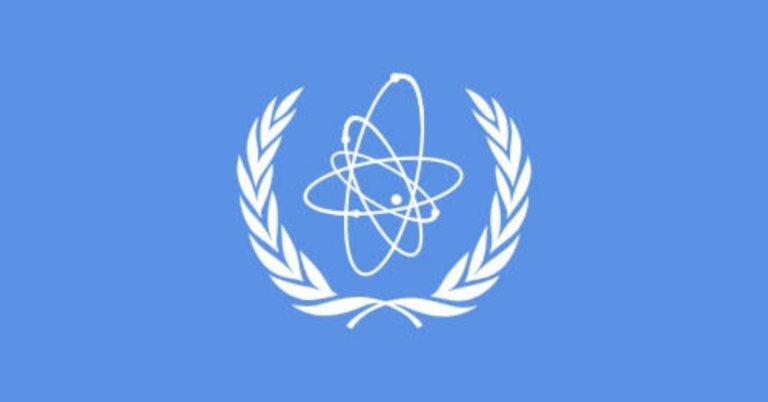 IAEA Internship
