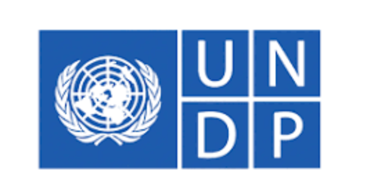 UNDP Graduate Programme