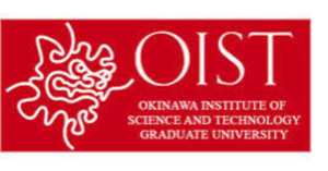 OIST Research Internship 2027