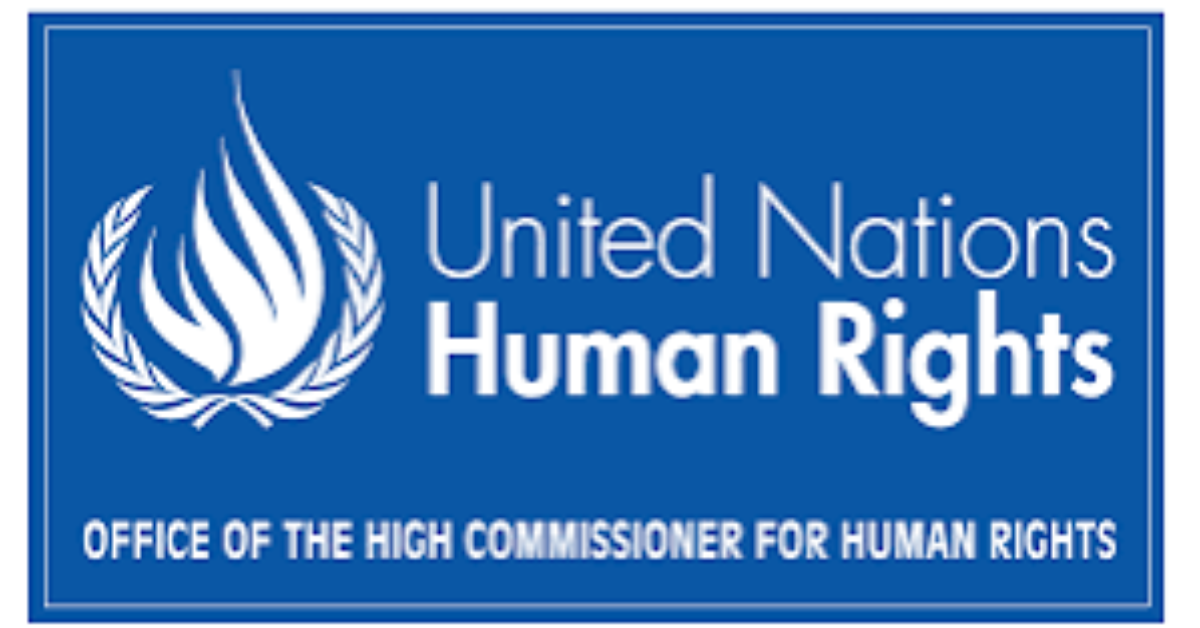 OHCHR Indigenous Fellowship 2027 in Geneva Switzerland Fully Funded Human Rights Training Programme
