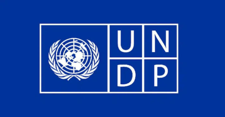 UNDP Hiring Remote Research Assistants