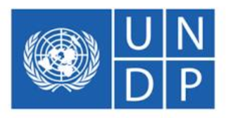 UNDP