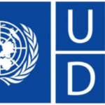 UNDESA Internship