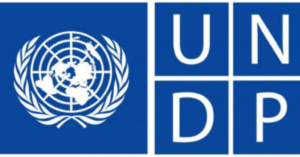 UNDESA Internship