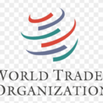 WTO Internship