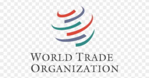 WTO Internship