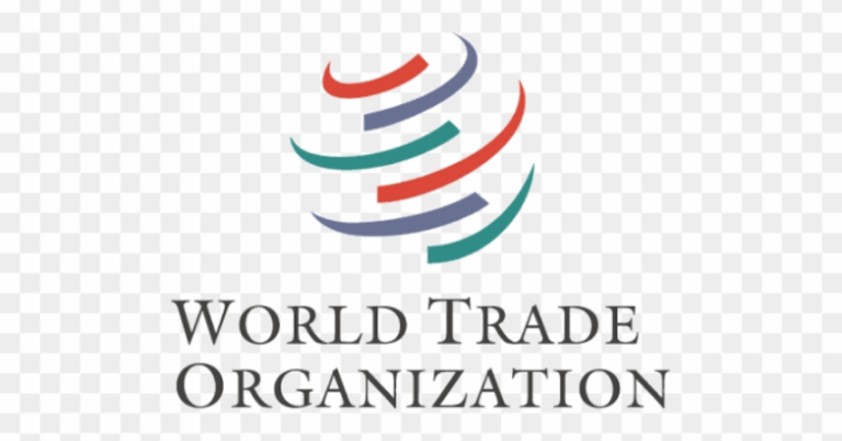 WTO Internship