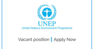 UNEP FI Climate Adaptation and Resilience Internship
