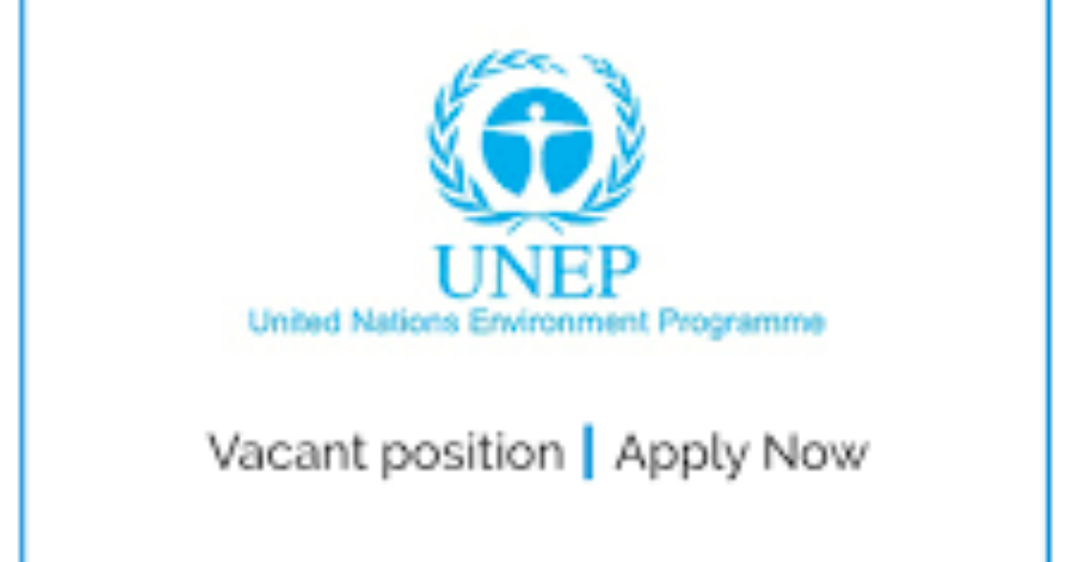 UNEP FI Climate Adaptation and Resilience Internship