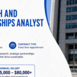 UNDP Research and Partnerships Analyst