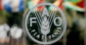 FAO Free Certified Courses