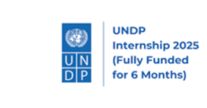 UNDP Inclusive Growth Internship