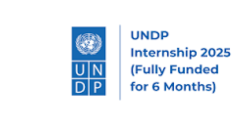 UNDP Inclusive Growth Internship