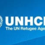 UNHCR Internship