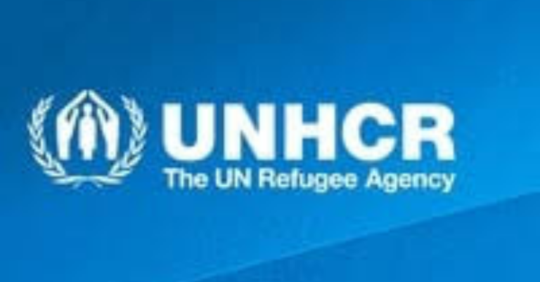 UNHCR Internship