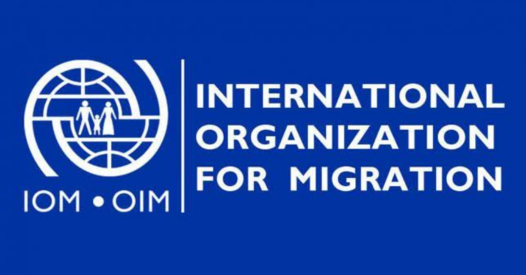 IOM Development