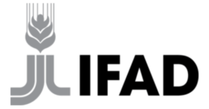 IFAD General Service Staff Jobs