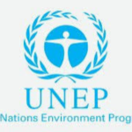 UNEP Remote Internship Opportunity