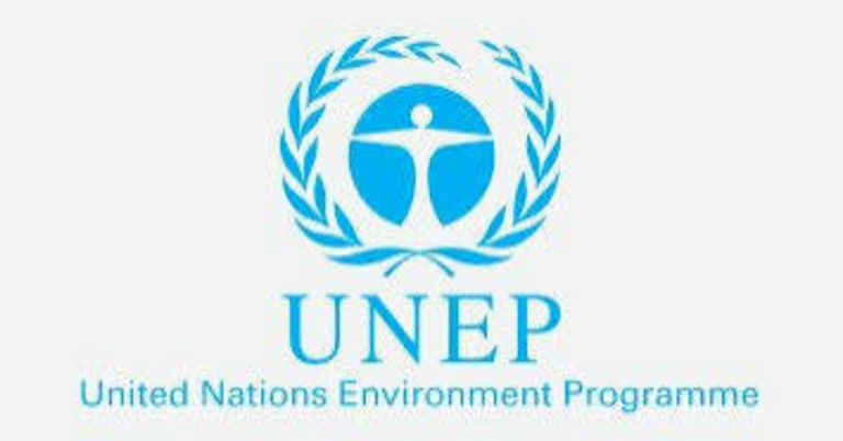 UNEP Remote Internship Opportunity