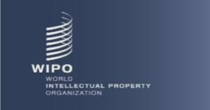 WIPO Scale Up