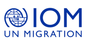International Organization