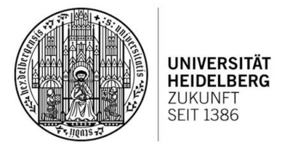 Heidelberg University